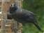 20100804_9.JPG