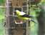 20100805_16.JPG