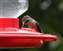 20100814_44.JPG