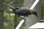 20100827_37.JPG