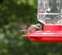 20100827_47.JPG