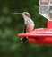20100827_48.JPG